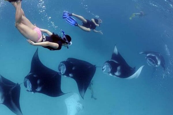 54074e5b-cba1-4c44-bd68-8e9984e1c5fc_4-spots-snorkeling-tour-with-manta-rays-in-nusa-penida-xlarge